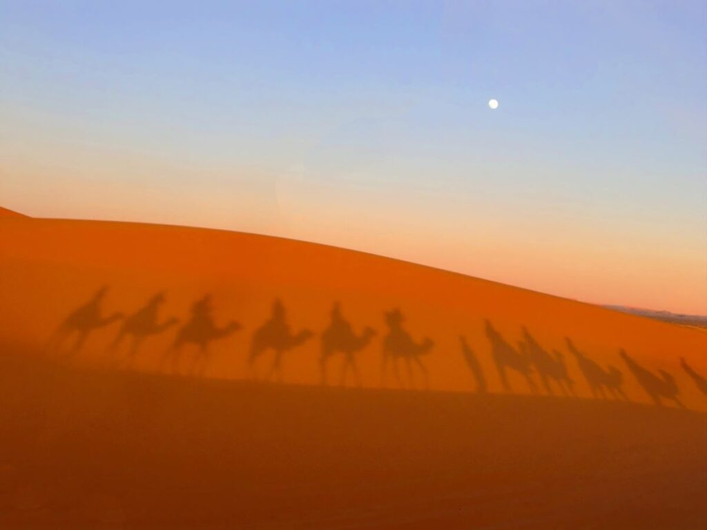 アラビアの砂漠