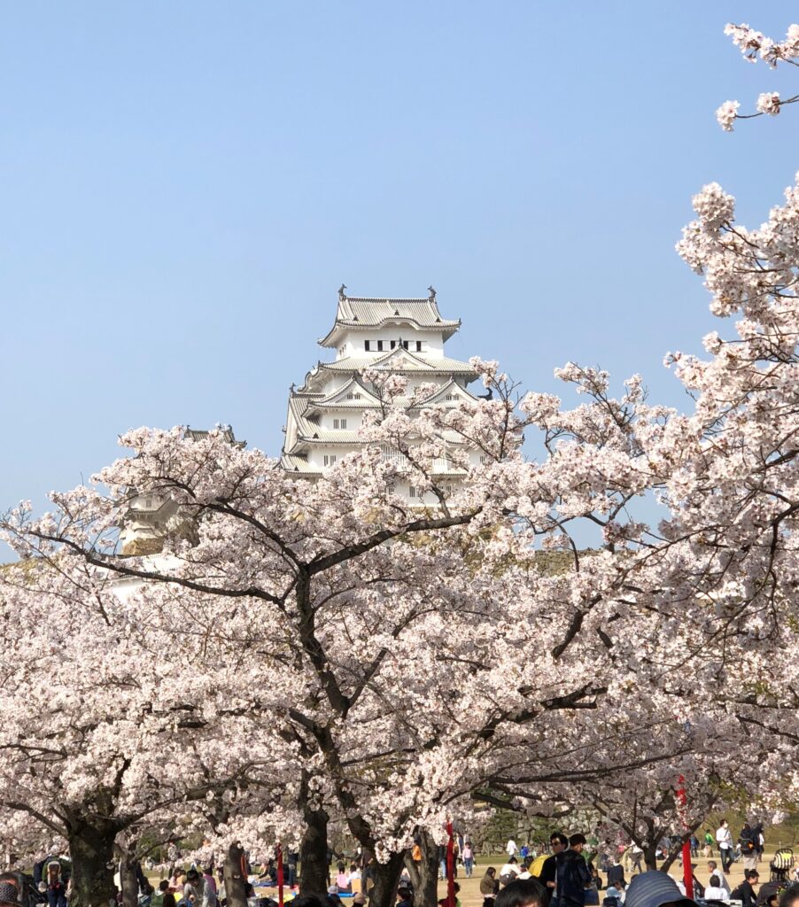 白鷺城の1000本桜