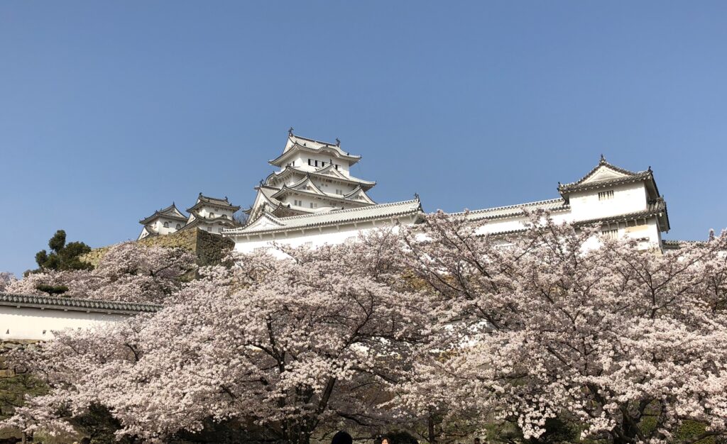 姫路城に咲く桜