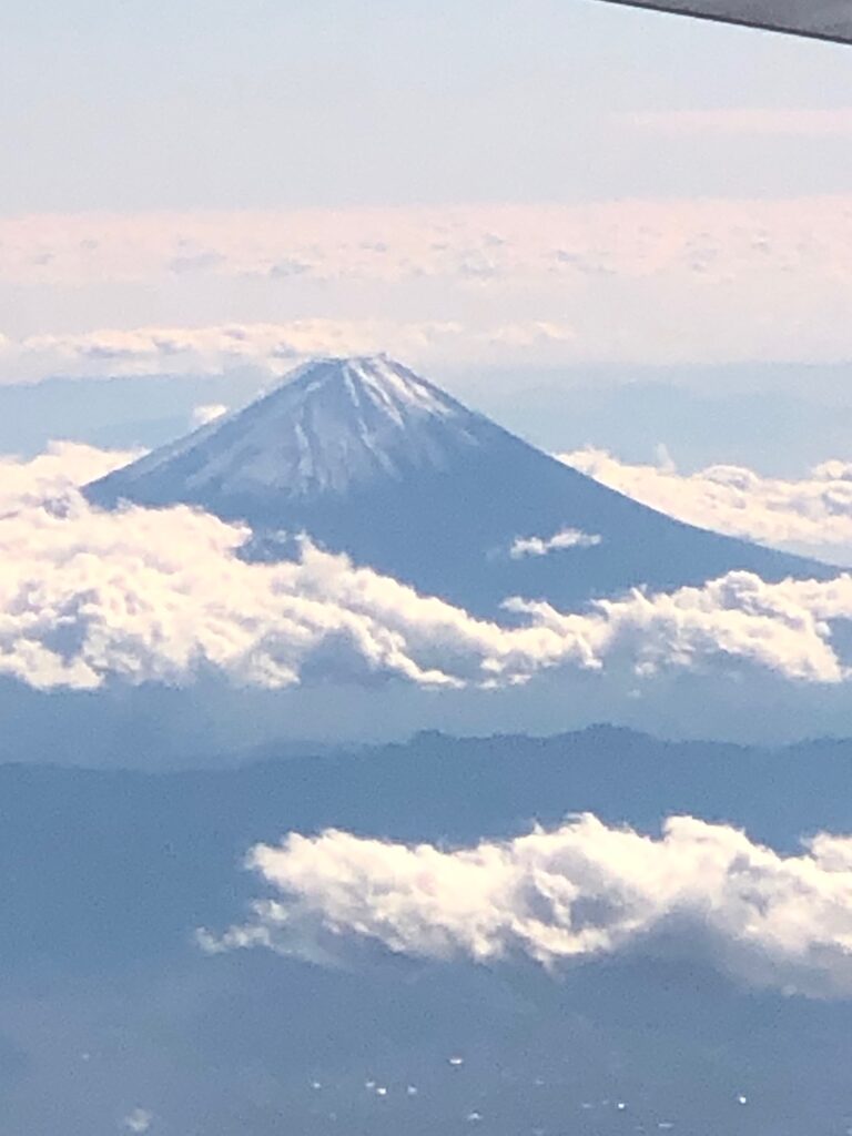 JALから見下ろす富士山の景色