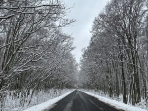 道路脇に広がる雪景色
