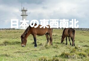 日本の東西南北。与那国島の与那国馬。2023年12月撮影写真。