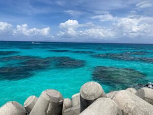 堤防からの海の景色