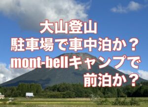 西側から見た伯耆大山