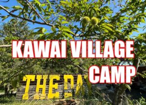 KAWAI VILLAGE CAMP外観