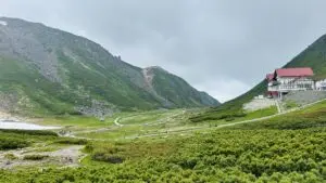 乗鞍岳のお花畑